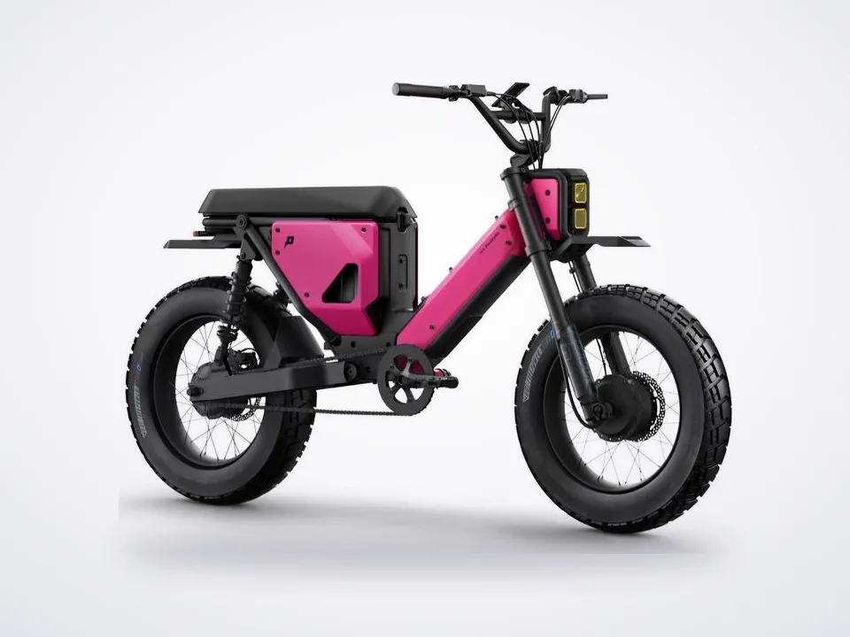 Pawkymo AR50