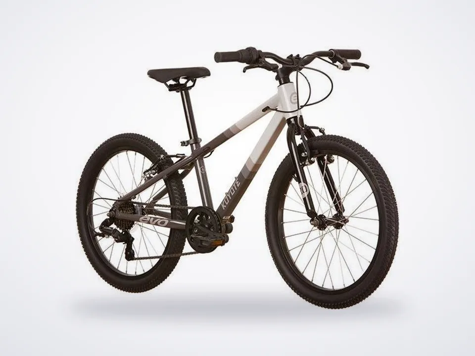 Evo Koyote 20 7-Speed