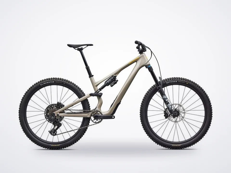 Specialized Stumpjumper 15 EVO Comp