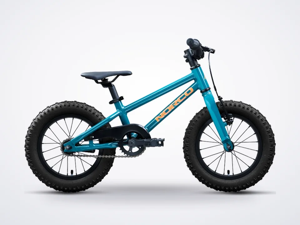 Norco Storm 14 Coaster