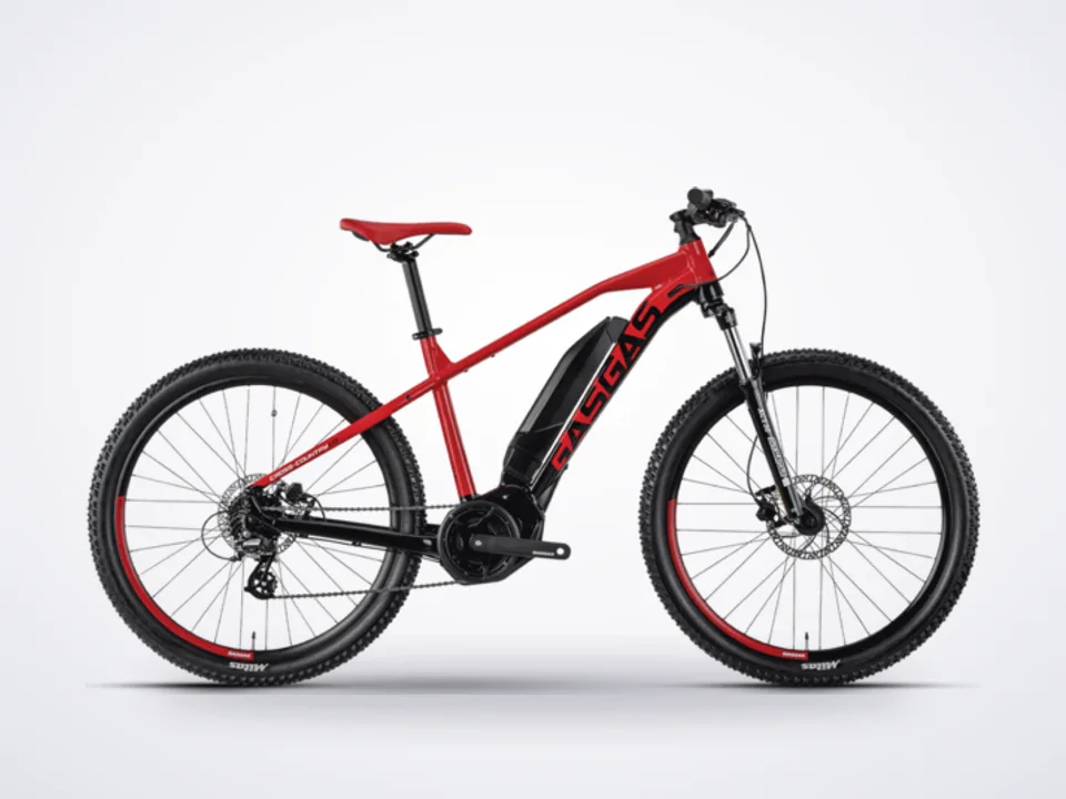 GasGas G Cross Country 1.0