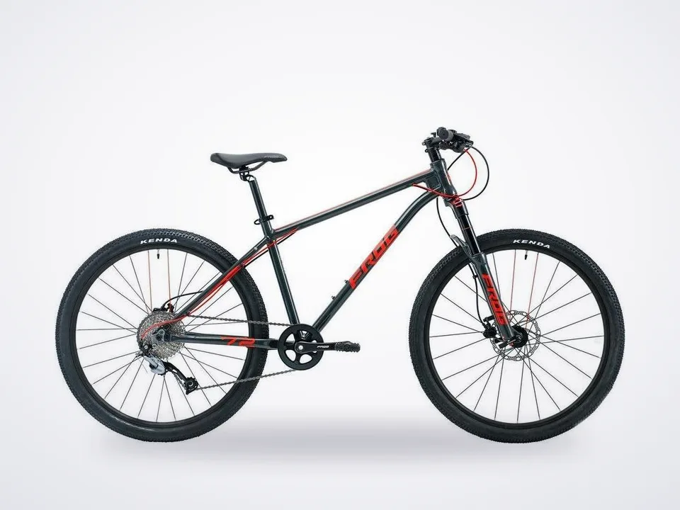Frog MTB 72