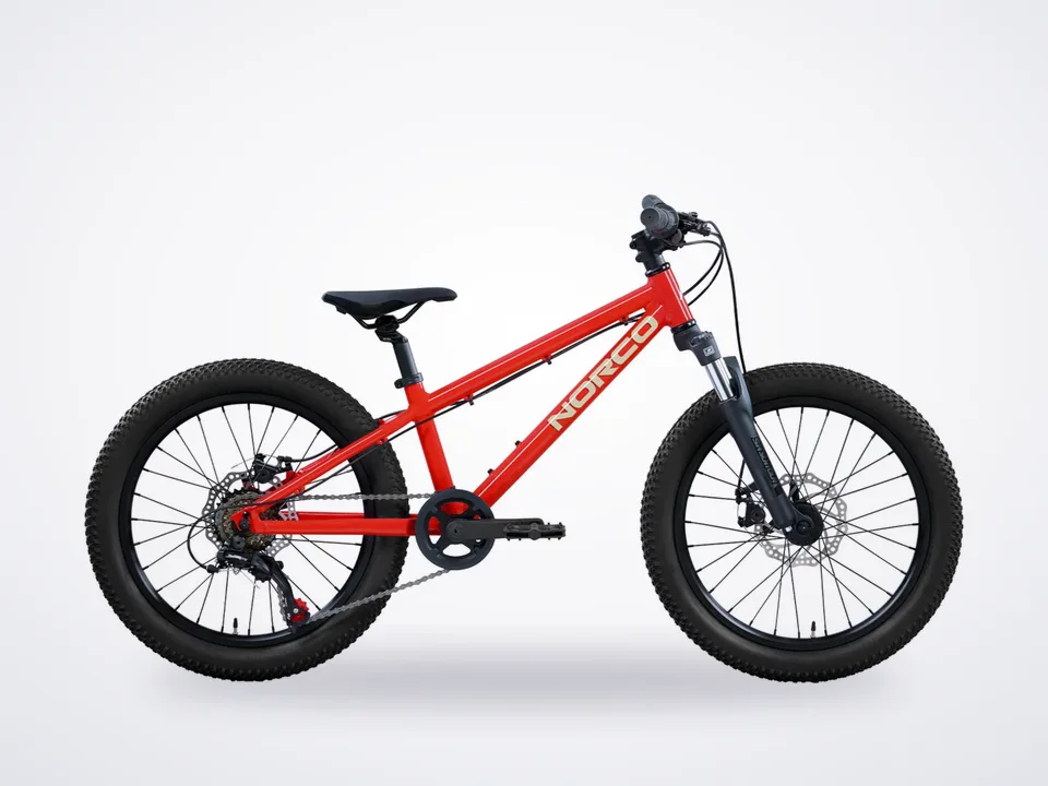 Norco Storm S20
