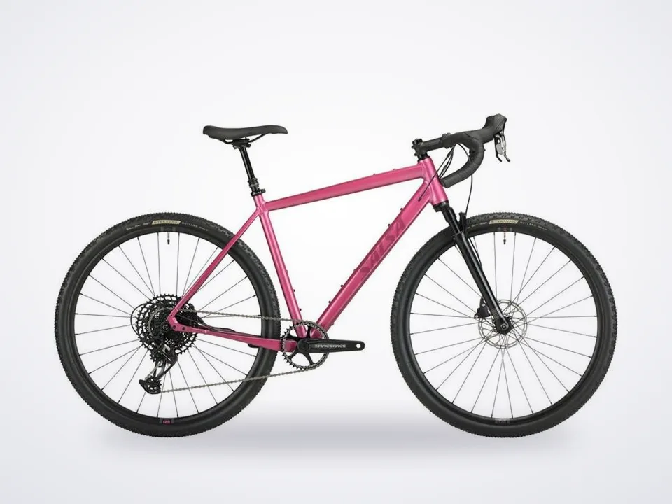 Salsa Stormchaser Apex Eagle