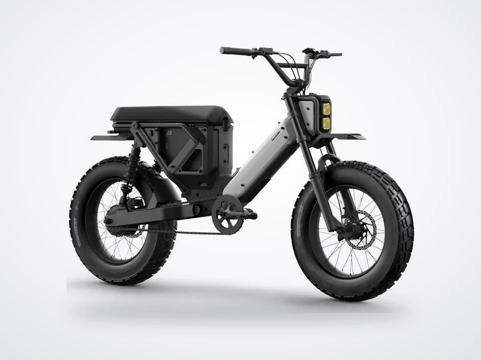 Pawkymo AR20