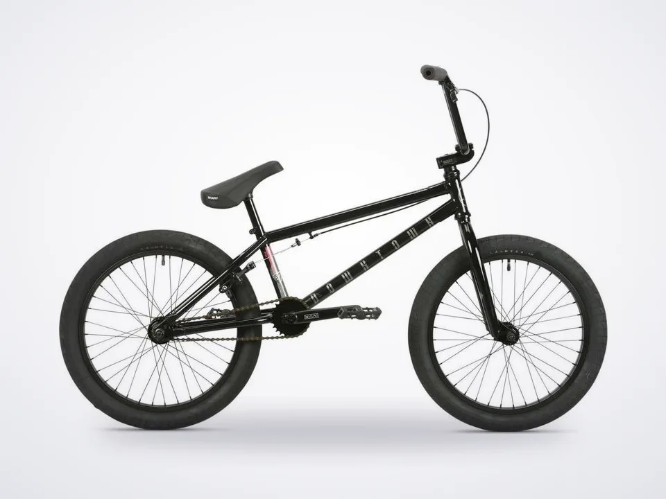 Haro Downtown 20"TT Black