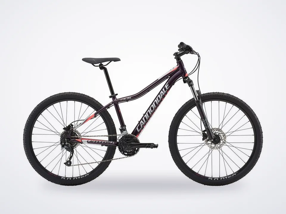 Cannondale Foray 2