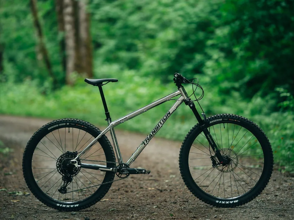 Transition TransAM NX Hardtail