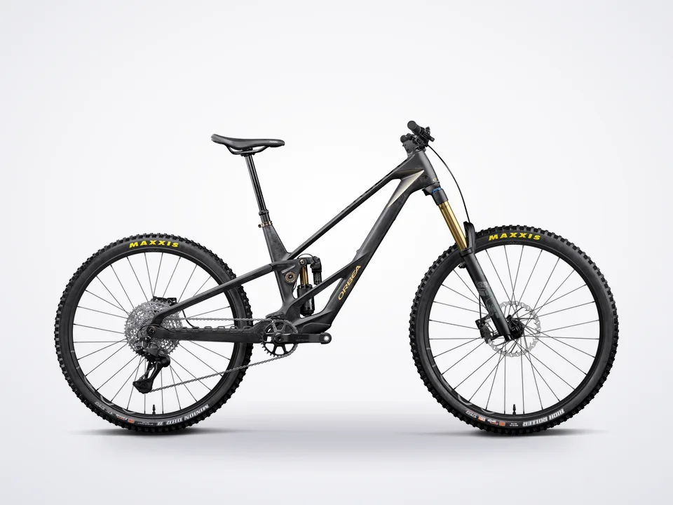 Orbea Rallon RS-LTD Mullet 20mph
