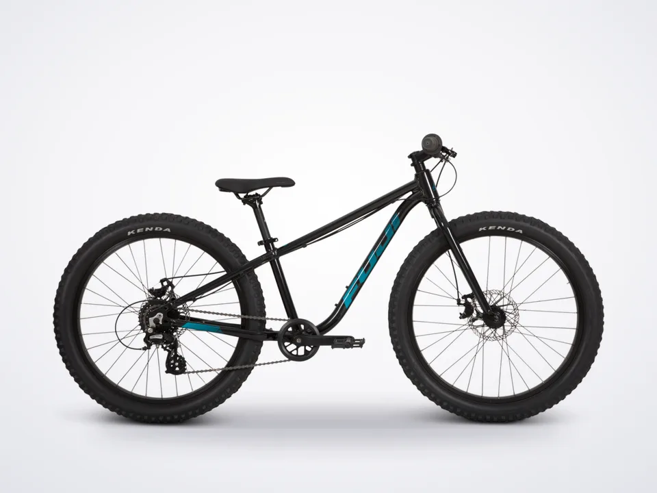 Fuji Dynamite 24+
