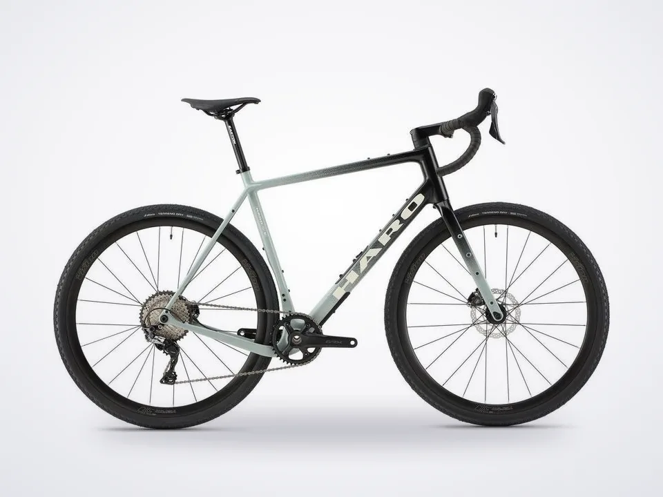 Haro Buzzard Carbon 3