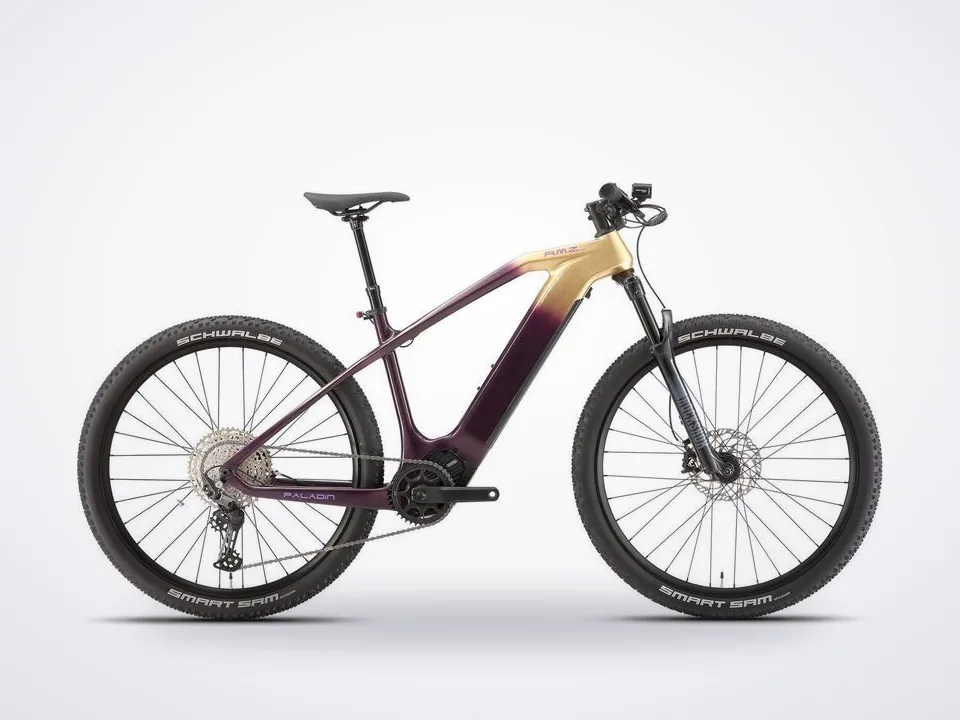 AMZcycle Paladin Electric XC