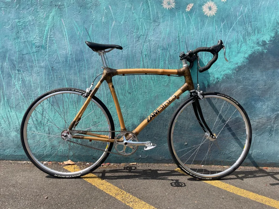 Zambikes Zambikes Single Speed Custom Build