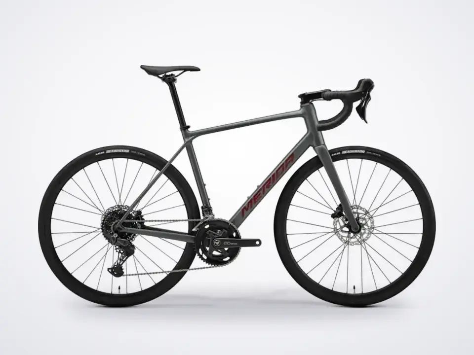 Merida Scultura Endurance 300