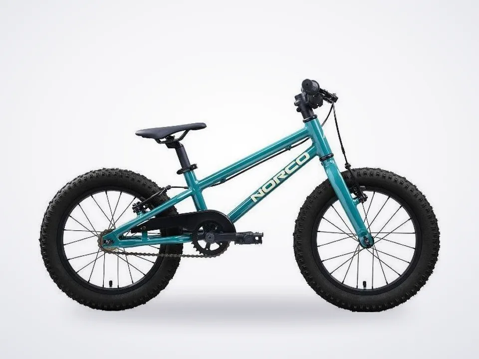 Norco Storm 16 Single Speed