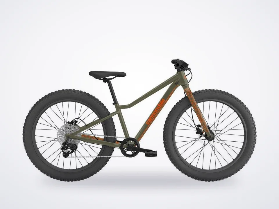 Cannondale Trail 24 Plus