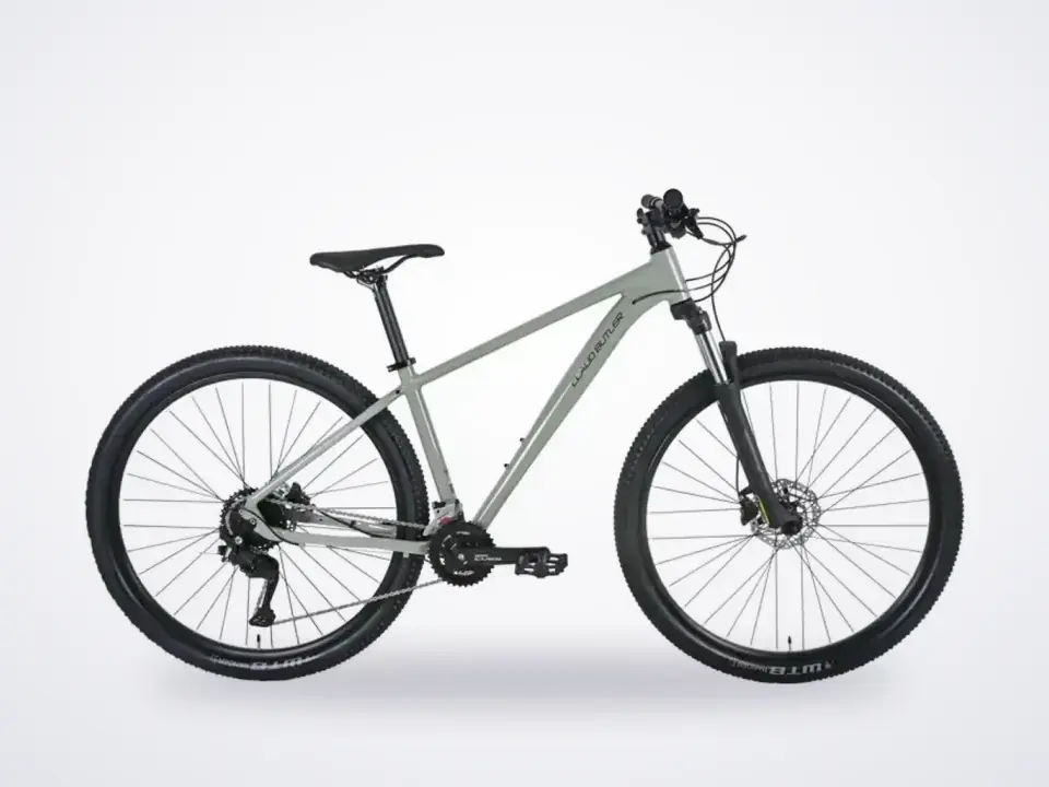 Claud Butler Alpina 1.0 29