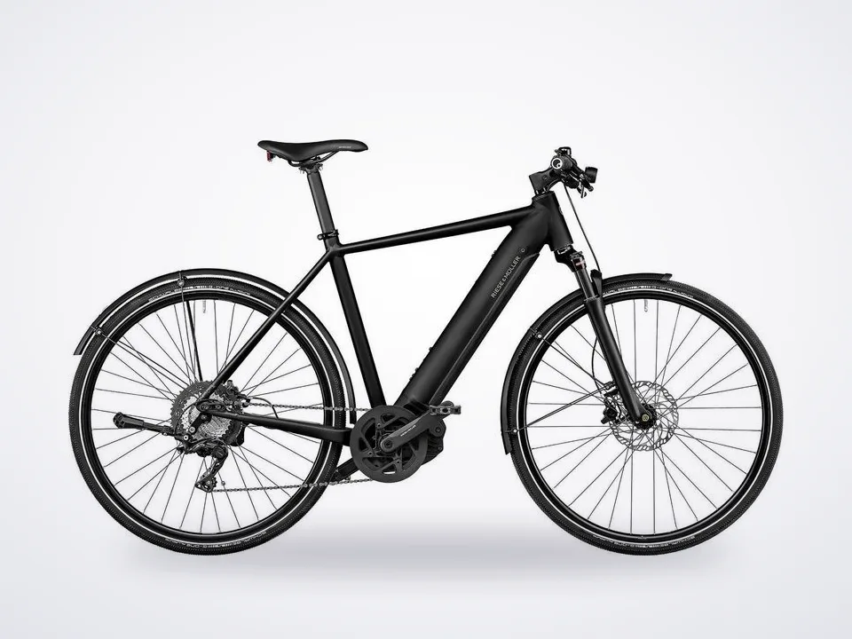 Riese & Müller Roadster