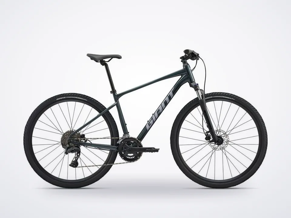 Giant Roam 2 Adventure