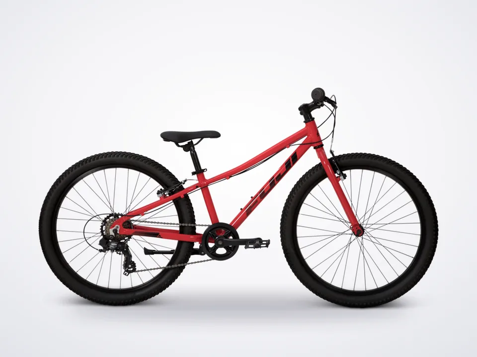 Fuji Dynamite 24