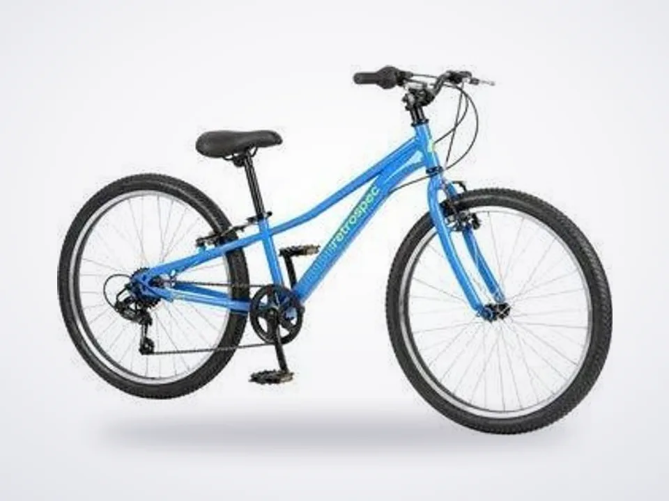 Retrospec Dart 24" Blue Tang