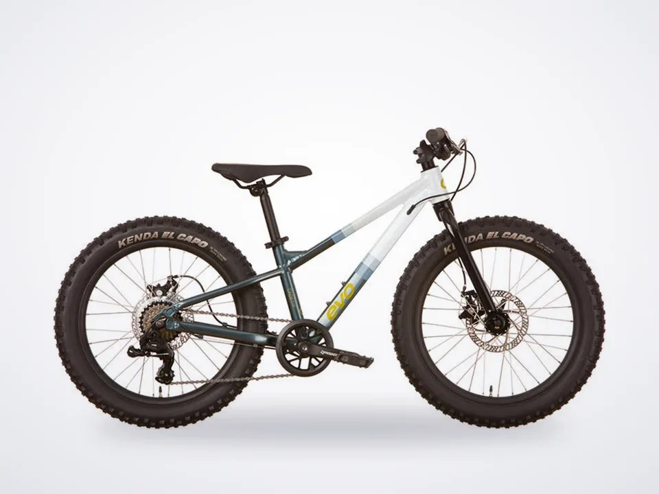 Evo Cadet 20" Blue/White