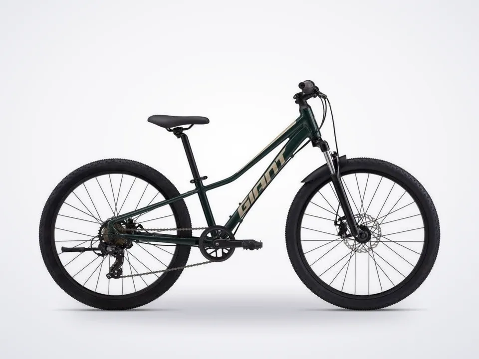 Giant Talon 24 Disc Trekking Green
