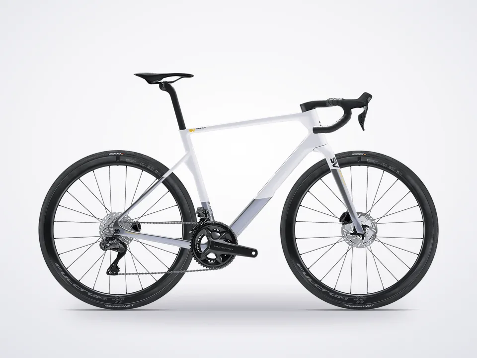 Basso SV