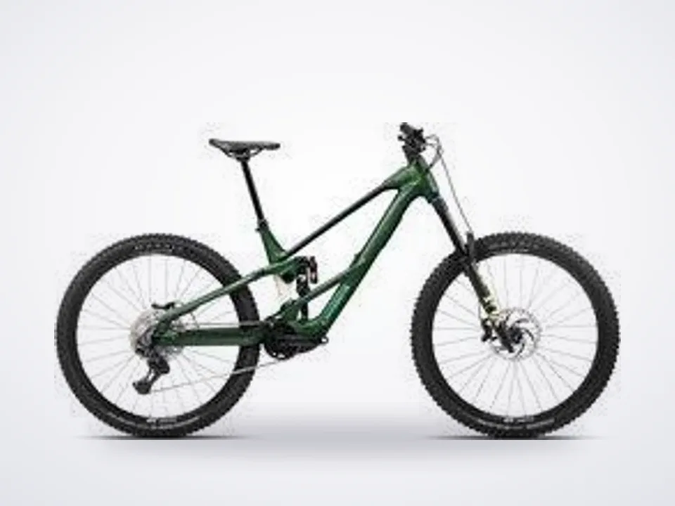Orbea Wild LT H10 Mullet