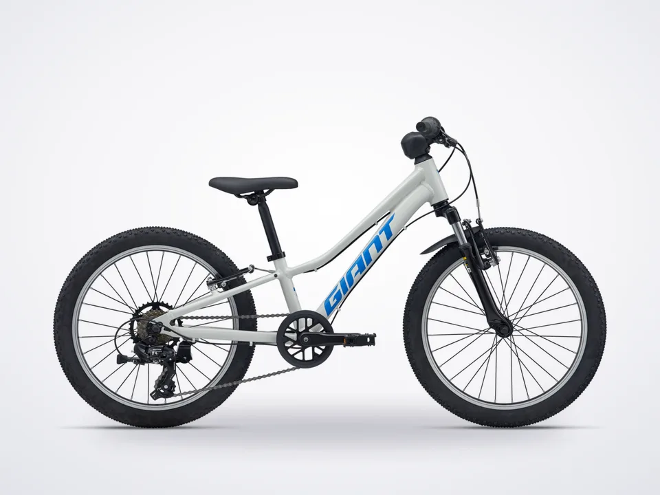 Giant Talon 20