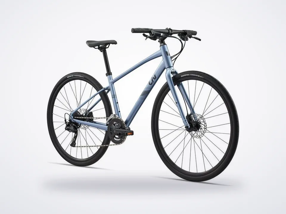 Liv Alight 2 Disc-GU Frost Silver