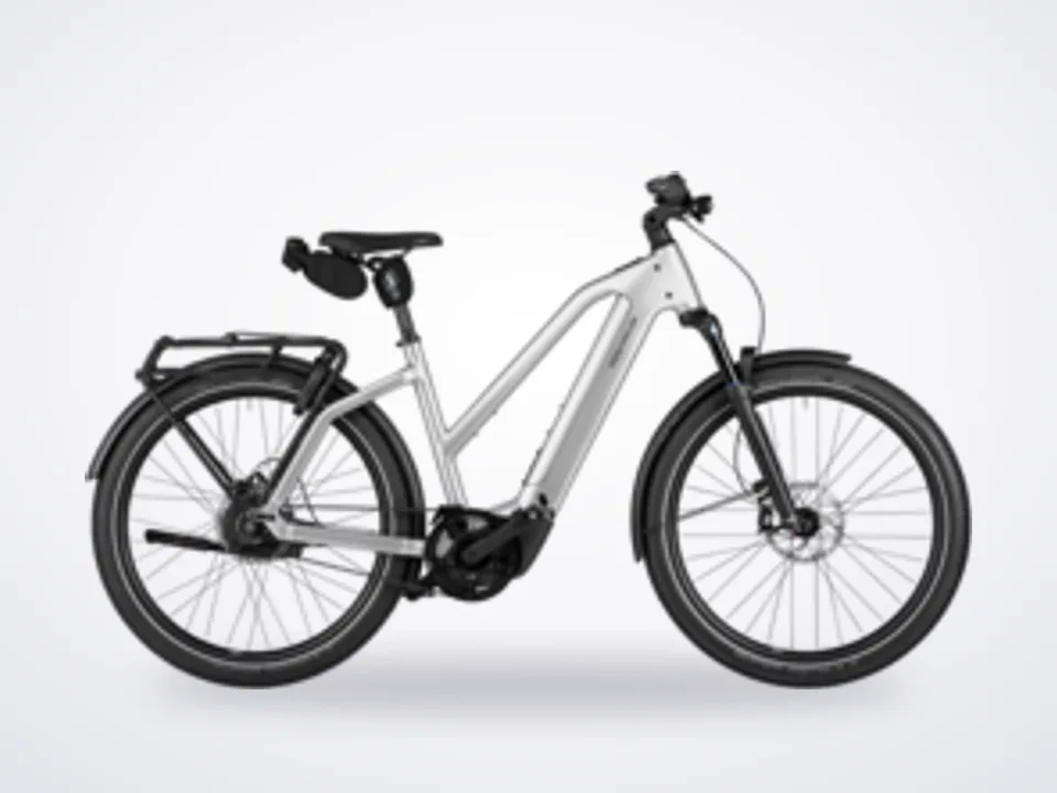 Riese & Müller Muller Charge 5 MIxte Vario Magnesium