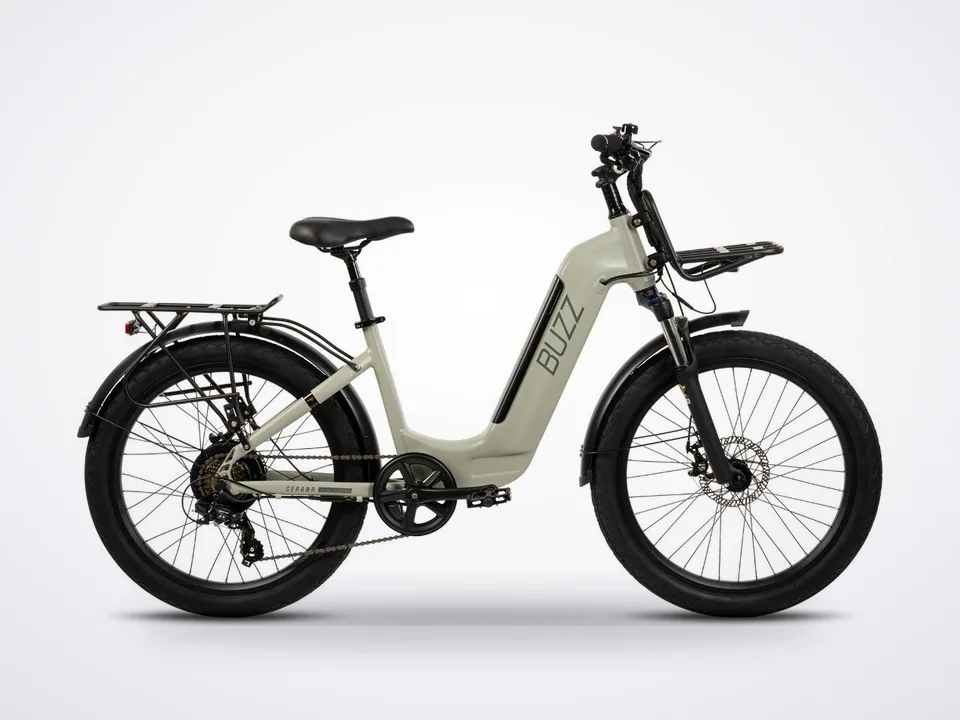 Buzz Cerana 2