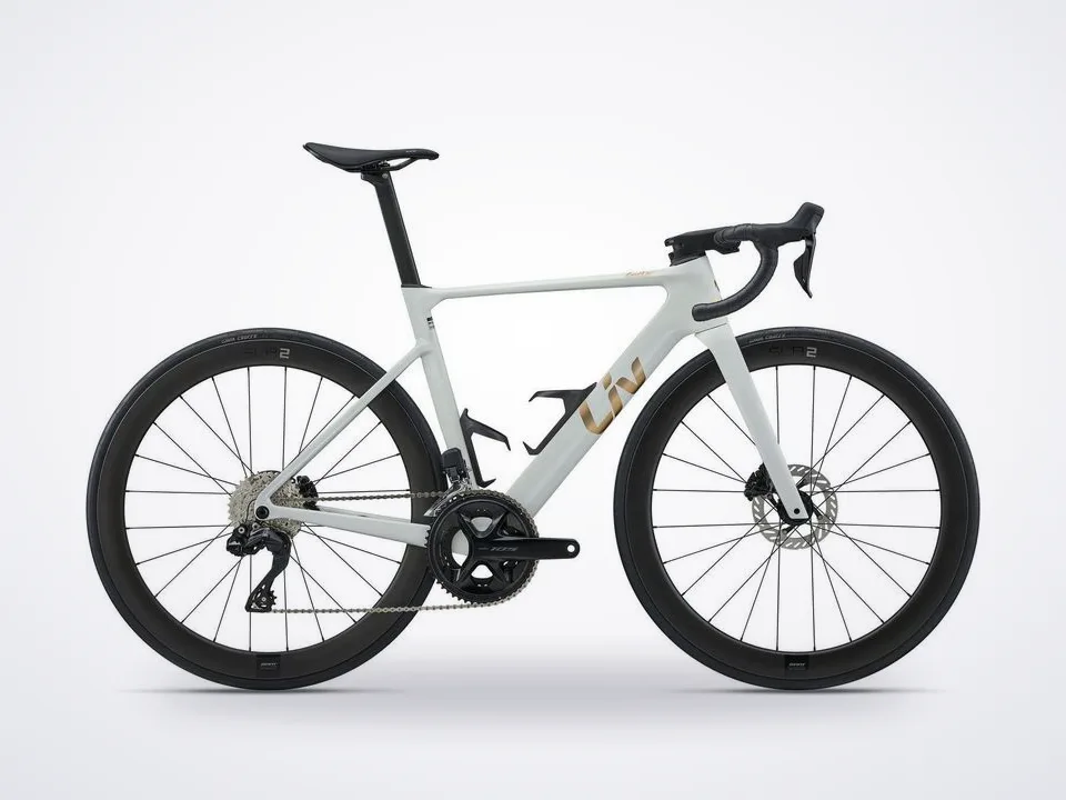 Liv EnviLiv Advanced 1