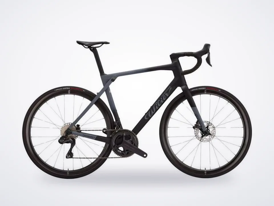 Wilier Triestina Granturismo SLR