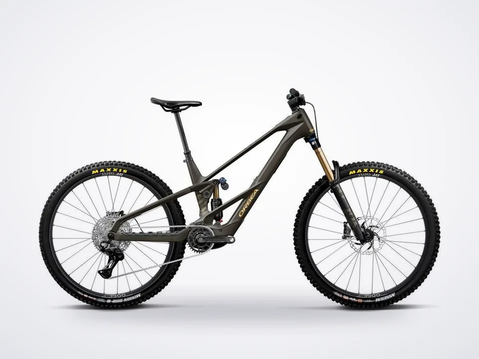 Orbea Wild LT M10