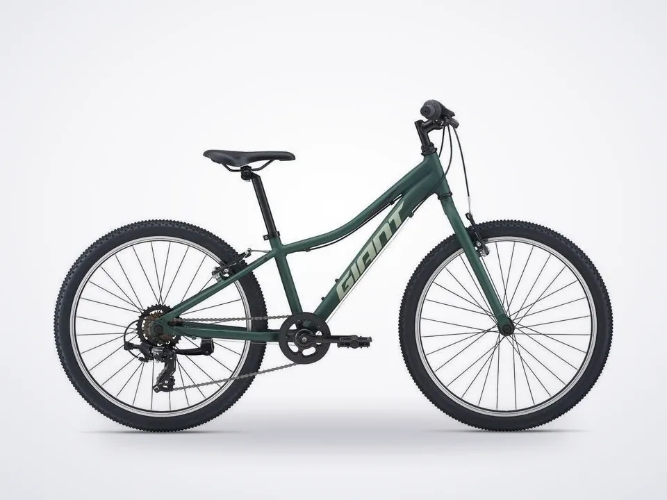 Giant XtC Jr 24 Lite