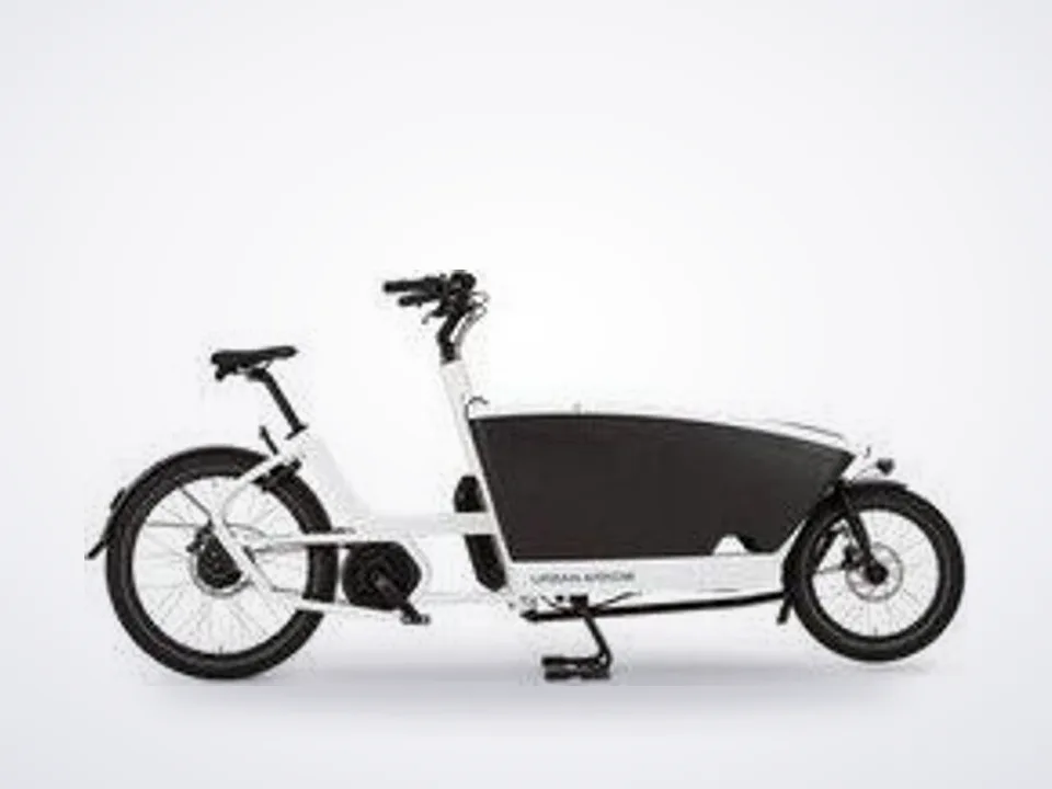 Urban Arrow Family Cargo Electric