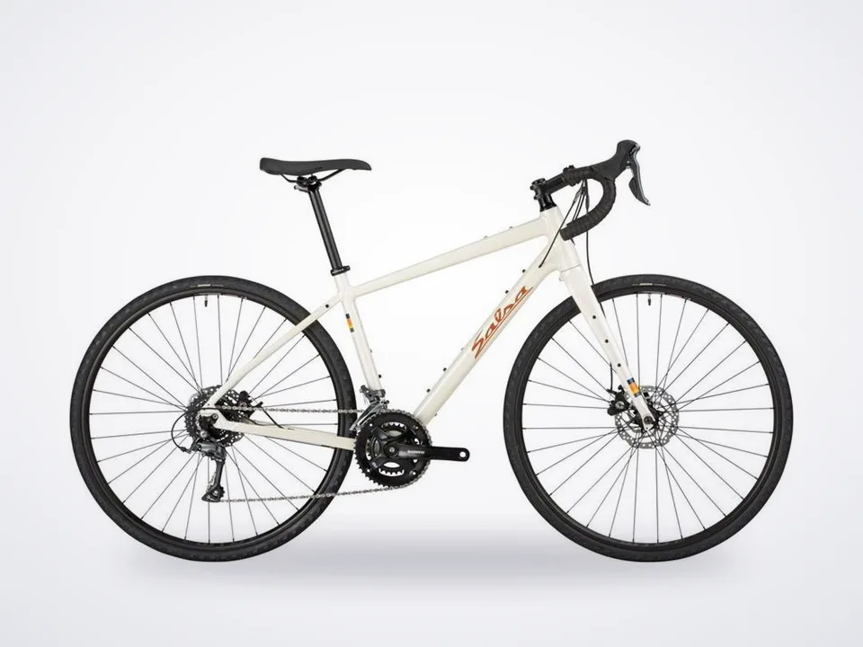 Salsa Journeyer Claris 700