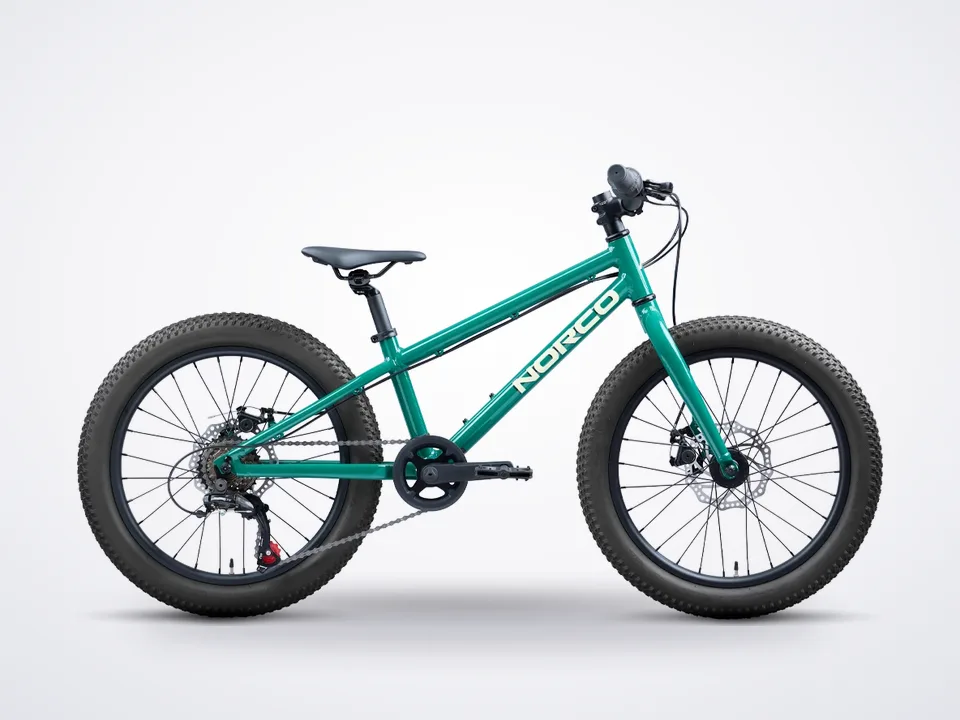 Norco Storm 20 NL