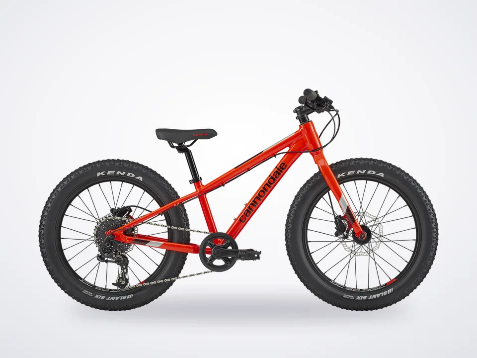 Cannondale Cujo Race 20+