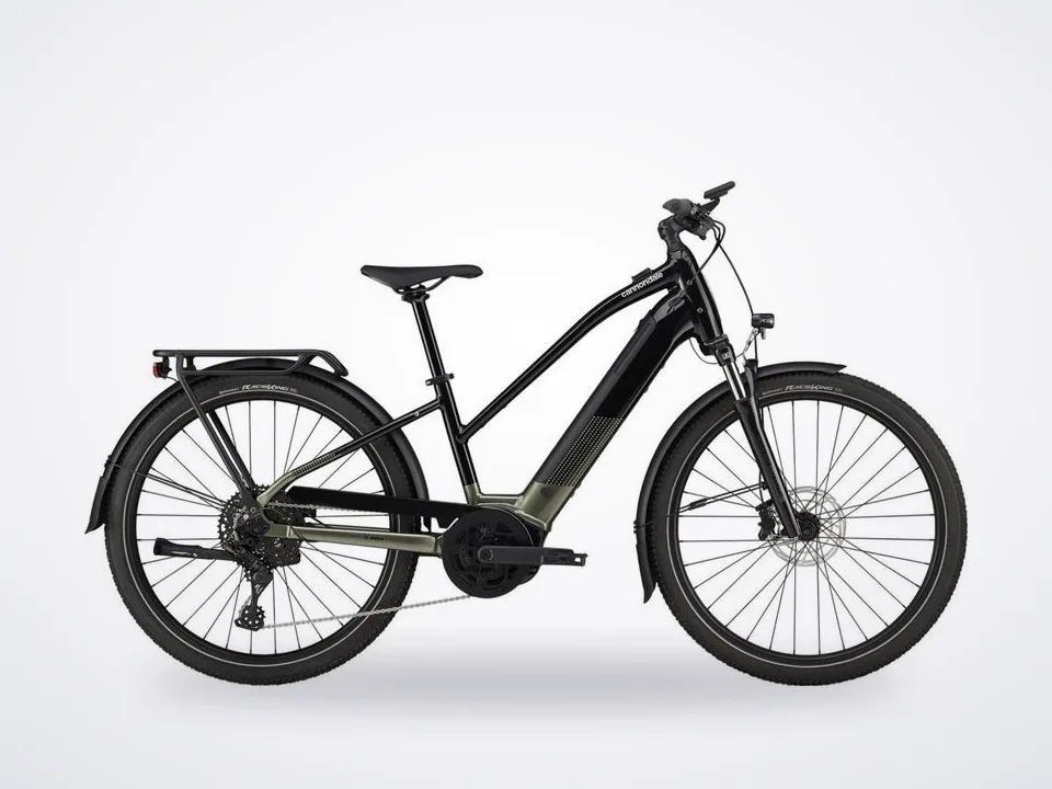 Cannondale Tesoro Neo X 2 StepThru