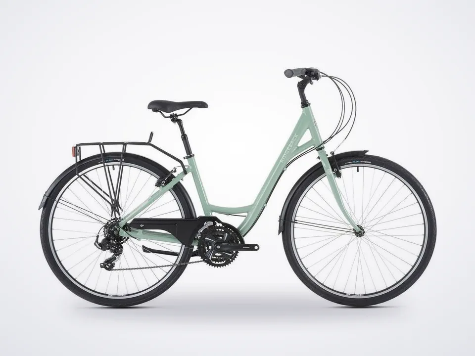 Ridgeback Avenida 21