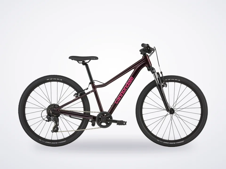 Cannondale Trail 24