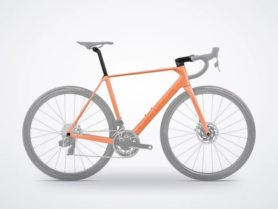 Orca OMX