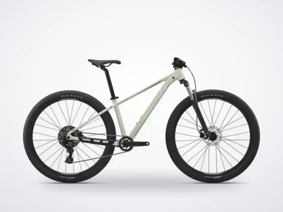 Liv Tempt 29 4 MTB