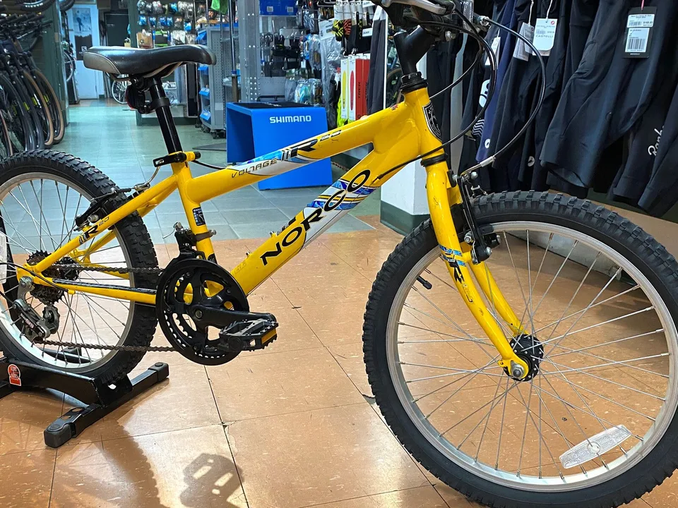 Norco Voltage R20 20" Youth