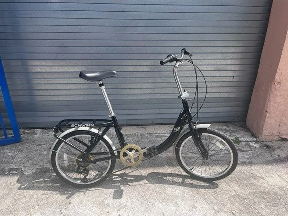 Schwinn Loop 20"