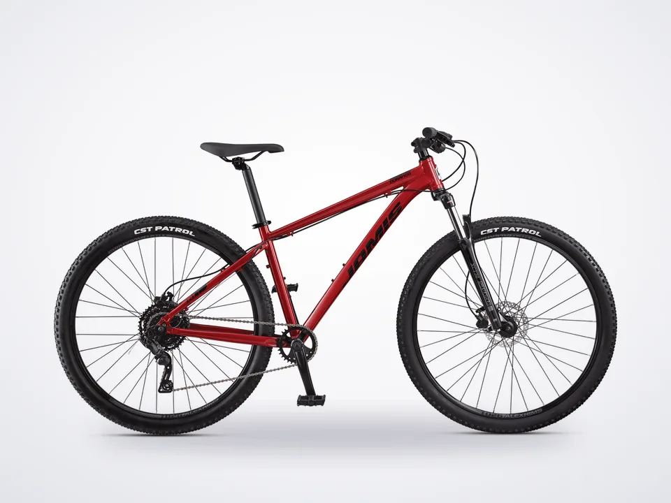 Jamis Durango A1 29"