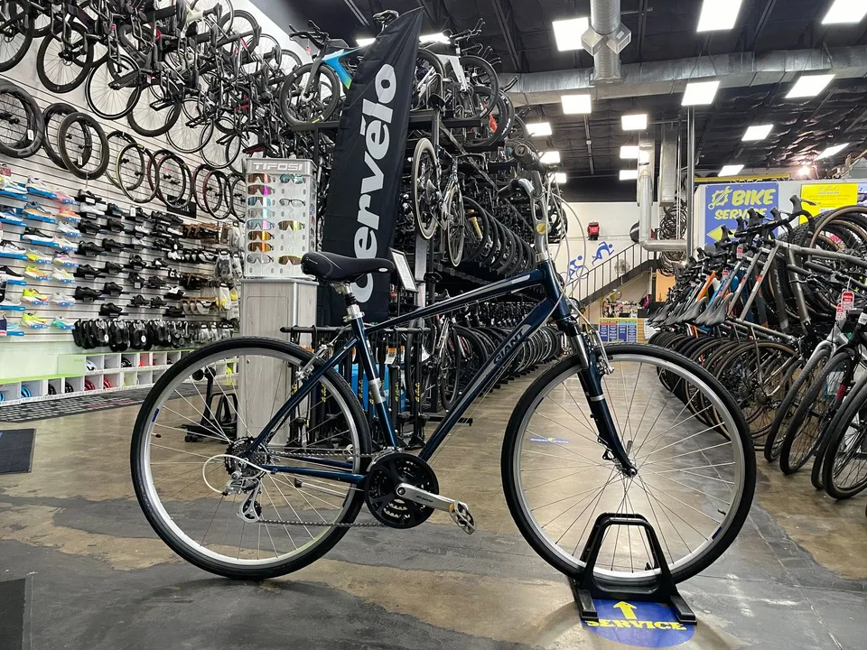 Giant Cypress DX Navy Blue